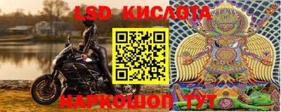 альфа пвп Новодвинск