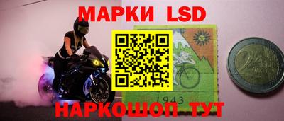 альфа пвп Новодвинск