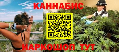 альфа пвп Новодвинск