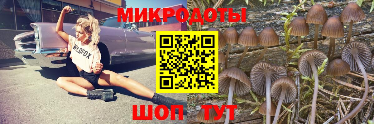 Галлюциногенные грибы Cubensis  Вход с VPN  Псилоцибиновые грибы Psilocybe  закладка  Балтийск 