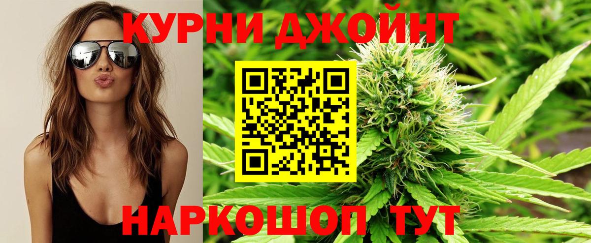 Каннабис сатива Балтийск